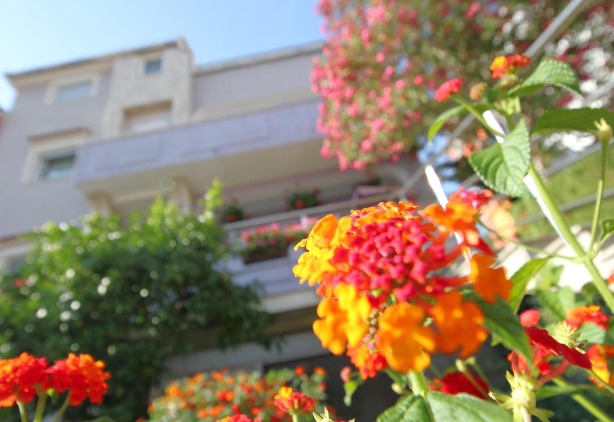 Pejic Apartments Pula Exterior foto